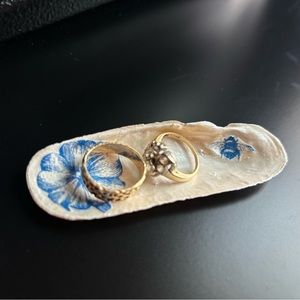 Shells from Florida’s coast. Homemade.